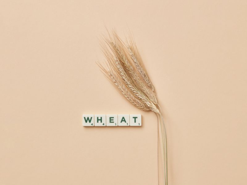The Wheat Glade